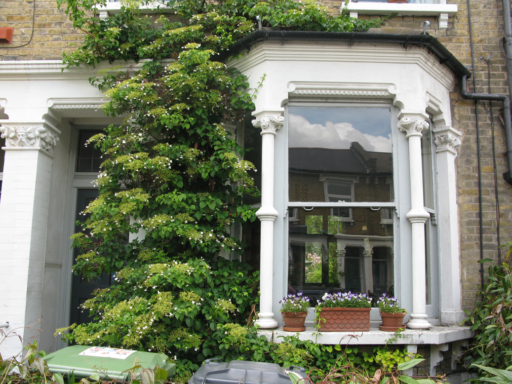 LETTING HOUSE UK letting house uk: