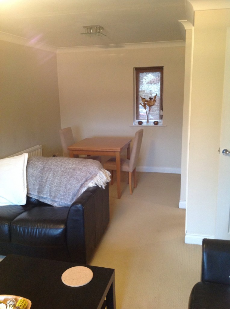 Modern OneBedroomed Flat, Lambton Washington The Online Letting