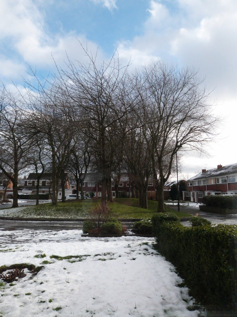 Fantastic Three Bedroom Semi Detached House to Rent in Kingston Park