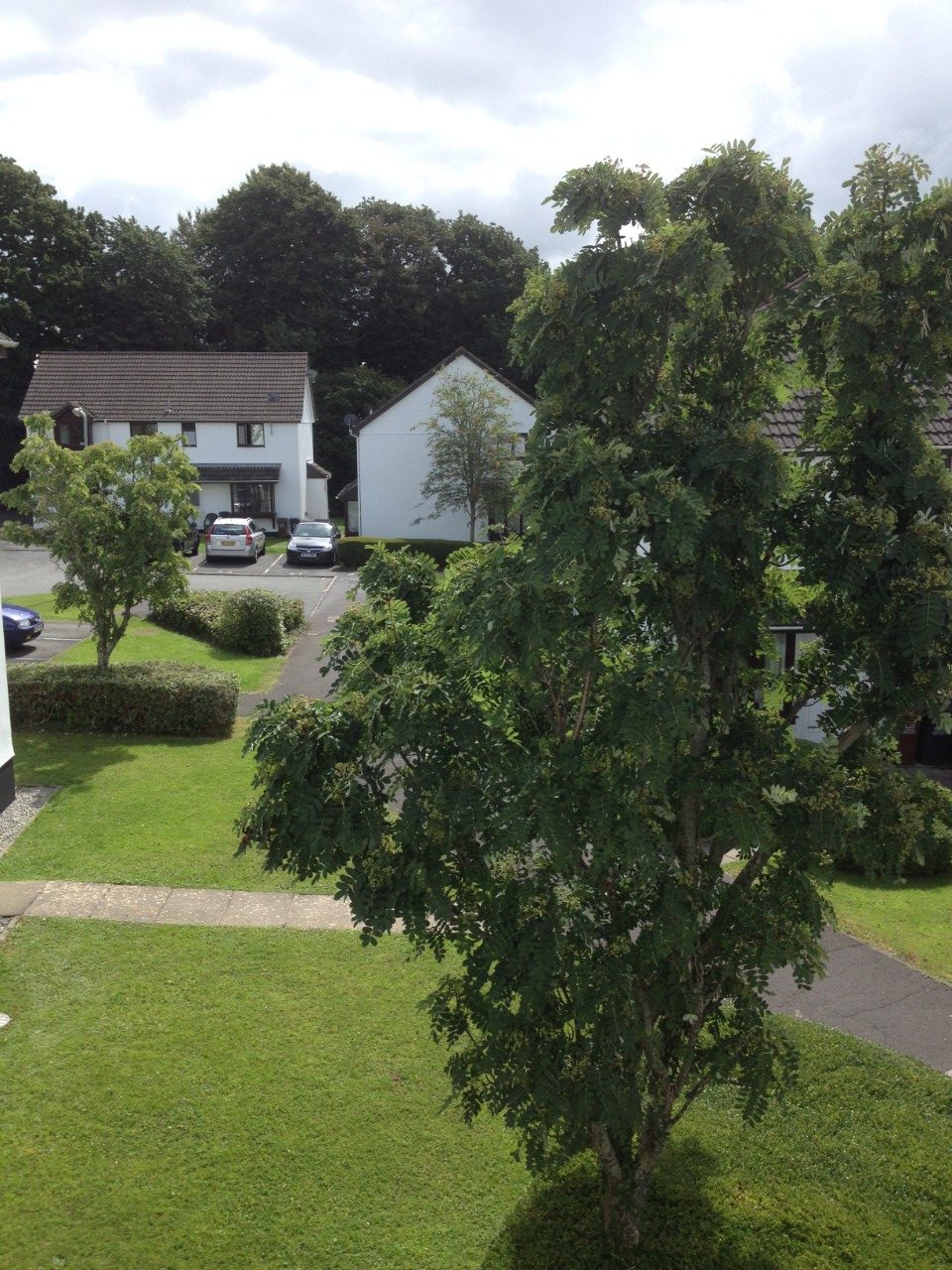 Two Bedroom House to Rent in Ivybridge The Online Letting Agents Ltd