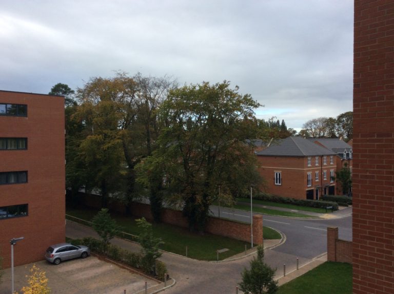 Luxury Race Course Apartment to let in Newbury The Online Letting